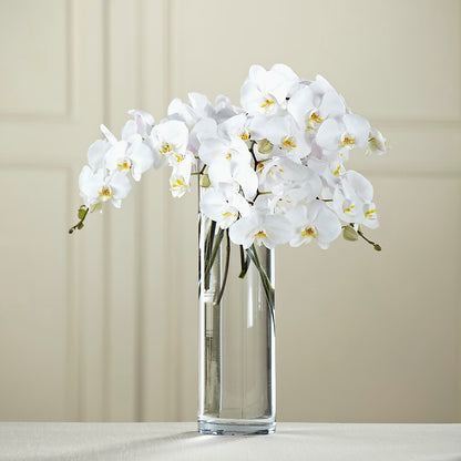 White Phalaenopsis Bouquet – HOMETOWN TREASURES FLORAL & GIFTS, Morris OK