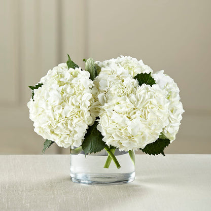 White Hydrangea Bouquet – HOMETOWN TREASURES FLORAL & GIFTS, Morris OK